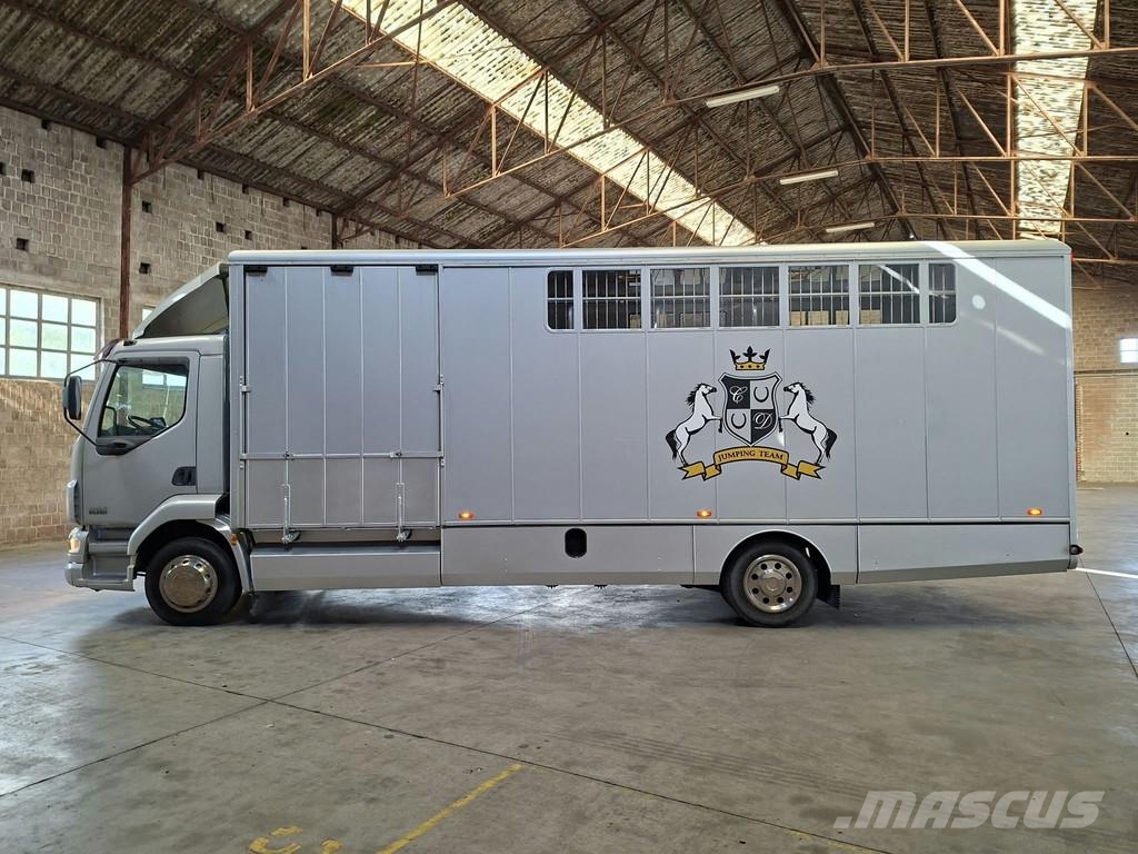 DAF LF 55 AE 55 LF-12 |VERVOER VOOR 5 PAARDEN | INGEBO Dyretransport