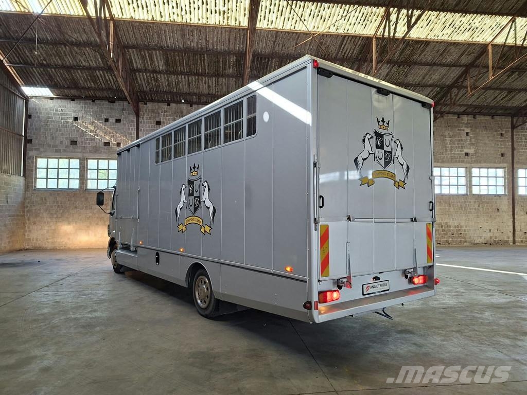 DAF LF 55 AE 55 LF-12 |VERVOER VOOR 5 PAARDEN | INGEBO Dyretransport