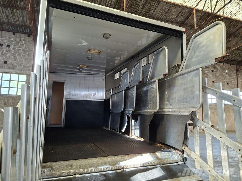 DAF LF 55 AE 55 LF-12 |VERVOER VOOR 5 PAARDEN | INGEBO Dyretransport