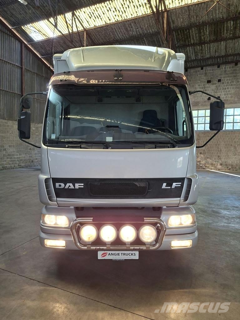 DAF LF 55 AE 55 LF-12 |VERVOER VOOR 5 PAARDEN | INGEBO Dyretransport
