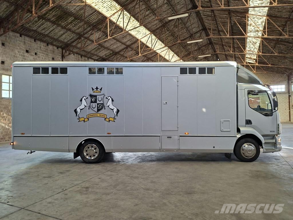 DAF LF 55 AE 55 LF-12 |VERVOER VOOR 5 PAARDEN | INGEBO Dyretransport