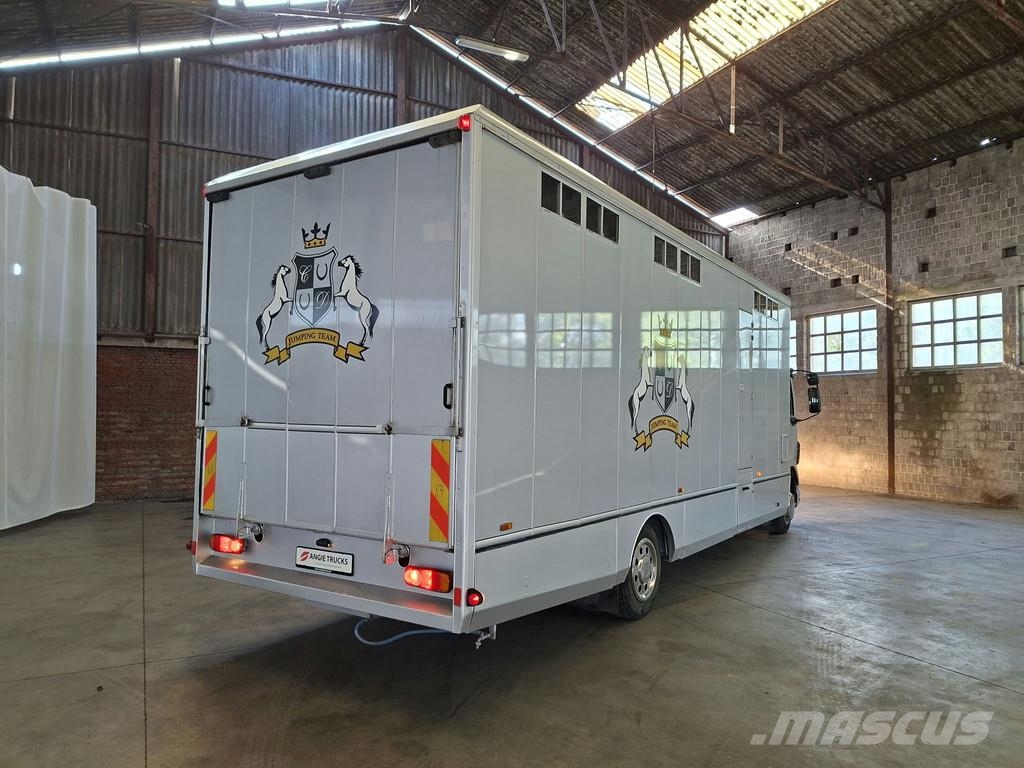 DAF LF 55 AE 55 LF-12 |VERVOER VOOR 5 PAARDEN | INGEBO Dyretransport