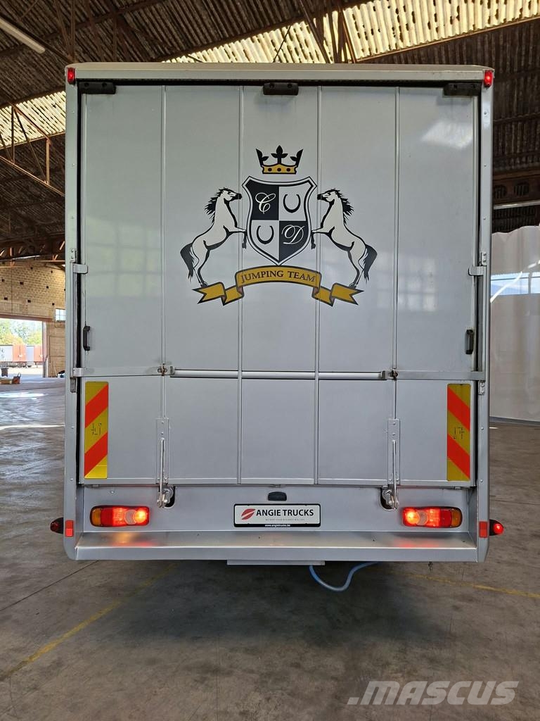 DAF LF 55 AE 55 LF-12 |VERVOER VOOR 5 PAARDEN | INGEBO Dyretransport