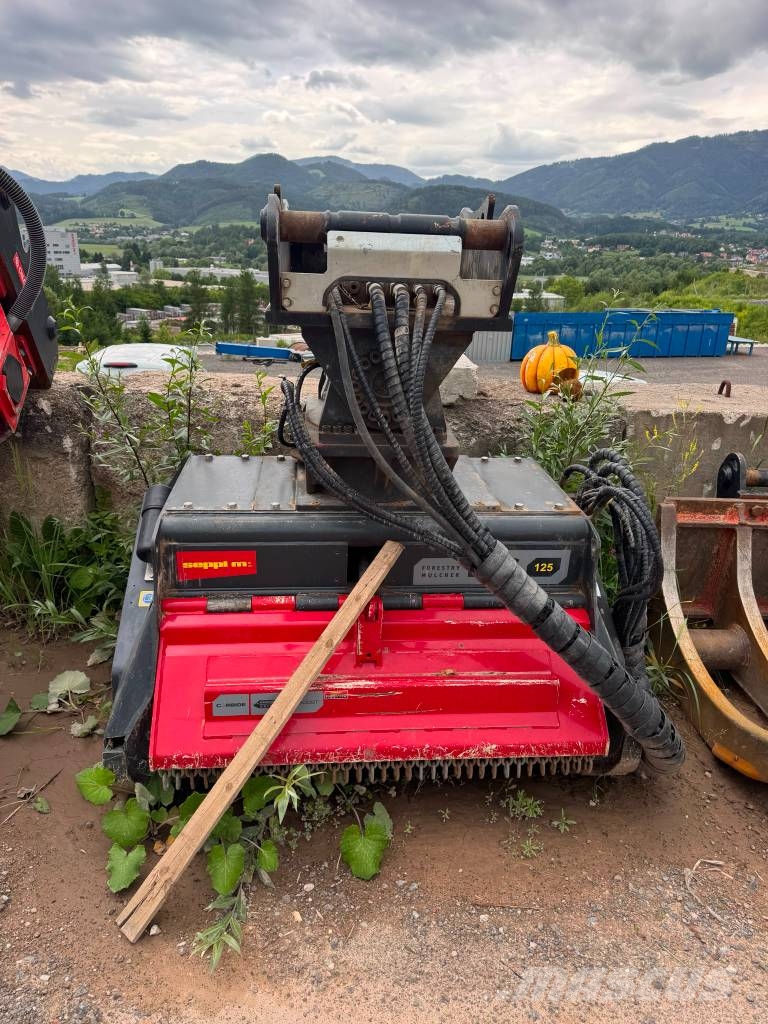 Seppi BMS 125 Trituradoras forestales