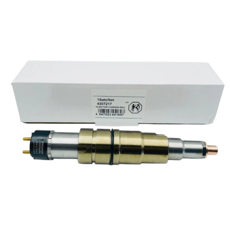 Cummins ISX15 QSX15 Injector 5579423 4307217 2872405 Motoare