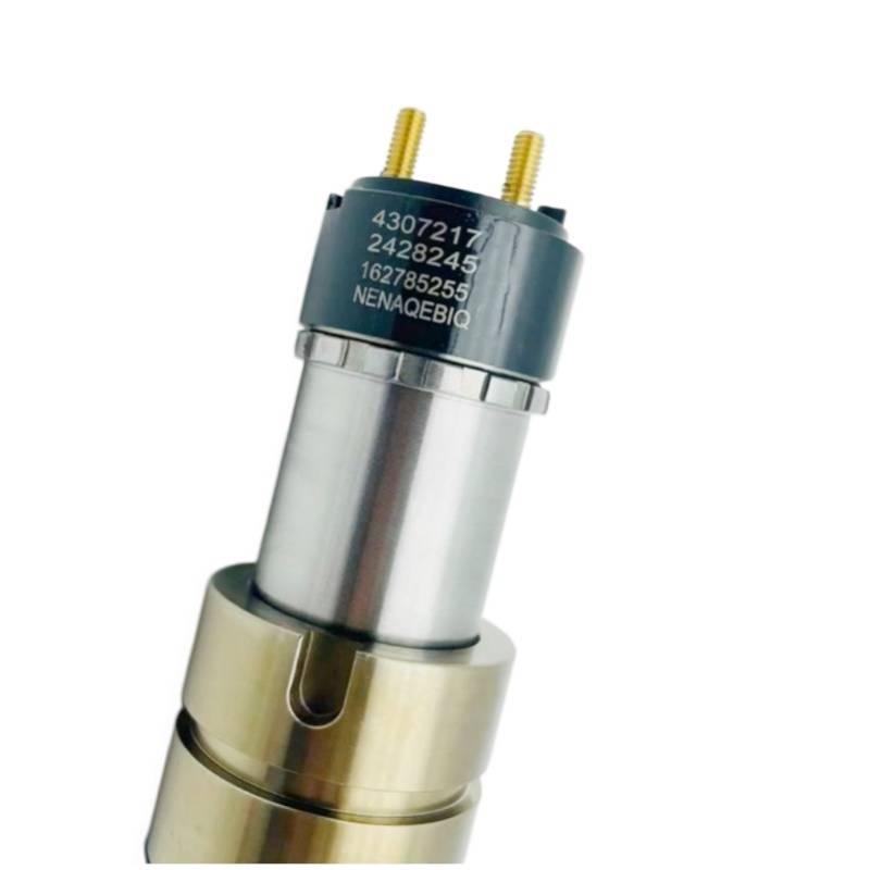 Cummins ISX15 QSX15 Injector 5579423 4307217 2872405 Motoare