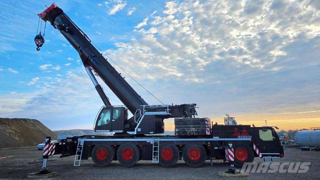 Liebherr LTM 1230-5.1 Rabljeni žerjavi za vsak teren