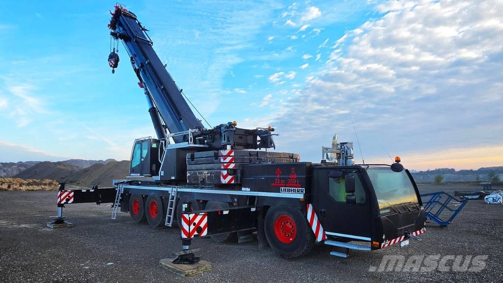 Liebherr LTM 1230-5.1 Rabljeni žerjavi za vsak teren