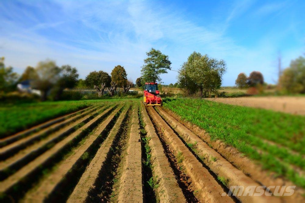 Weringen RT NISZCZARKA NACI BEZ PIŁ/CARROT TOPPER Overige rooimachines