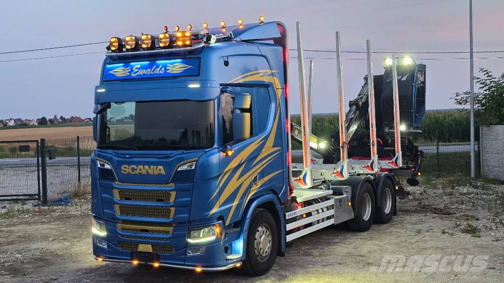 Scania R 650 شاحنات أشجار
