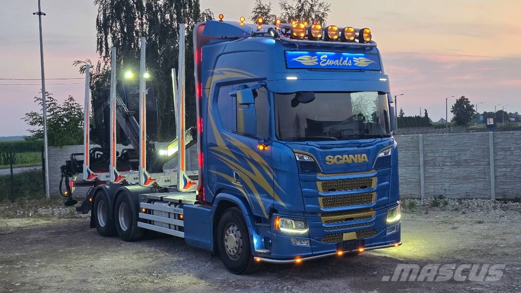 Scania R 650 شاحنات أشجار