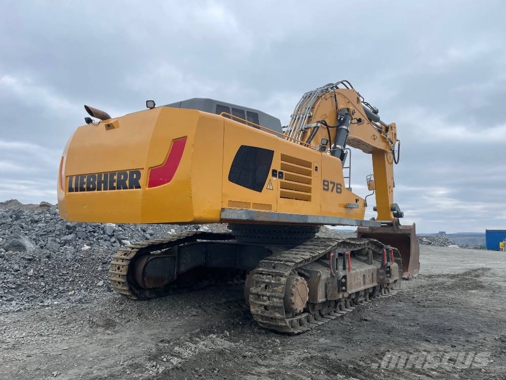 Liebherr R 976 Litronic 履带挖掘机