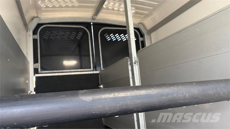 Ifor Williams HBX 511 Premium Ifor Williams HBX511 hestetrailer Overige aanhangers