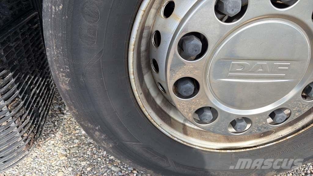 DAF XG 480FT شاحنات بمقصورة وهيكل