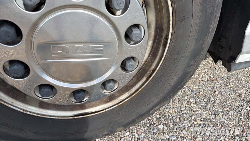 DAF XG 480FT شاحنات بمقصورة وهيكل