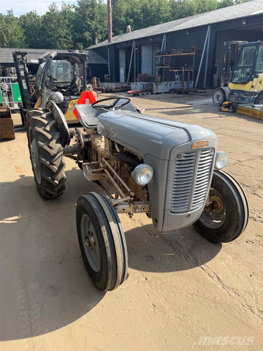Massey Ferguson Guldfugl トラクター