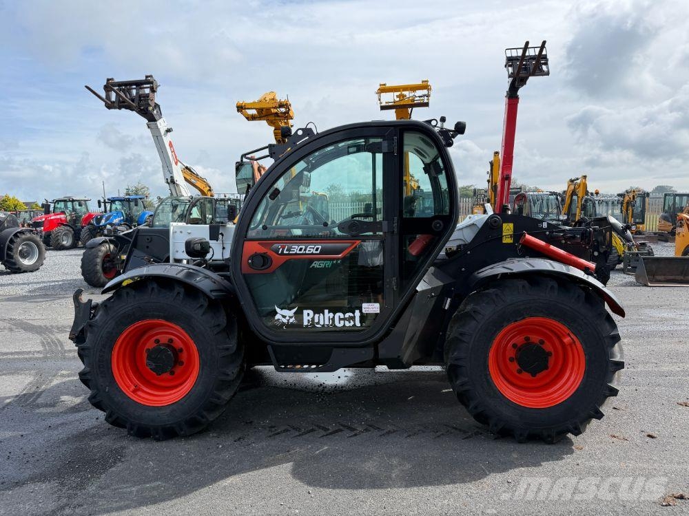 Bobcat TL30.60 Teleskoplader