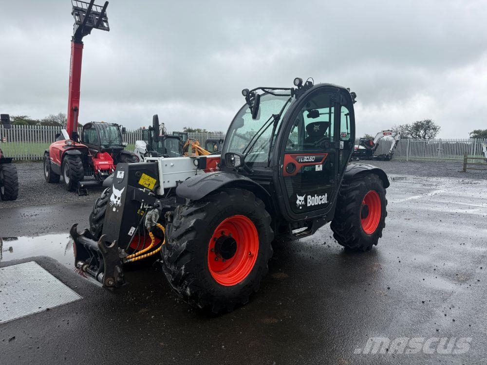 Bobcat TL30.60 Teleskopski viljuškari