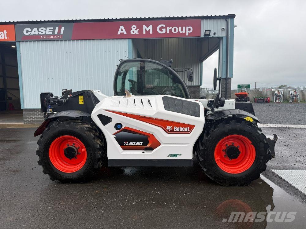Bobcat TL30.60 Teleskopski viljuškari
