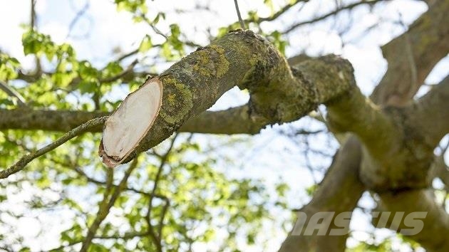 Greentec HXF 3302 Hegnsklipper på 240 cm Sövényvágók