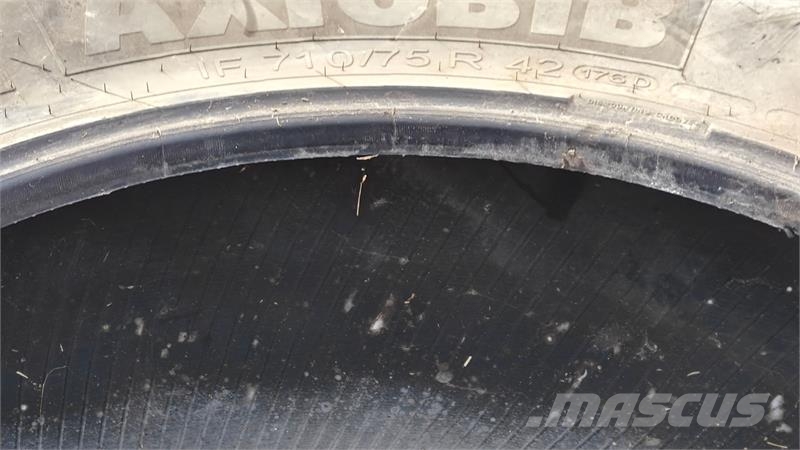 Michelin 710/75 R42 XXX الإطارات والعجلات والحافات