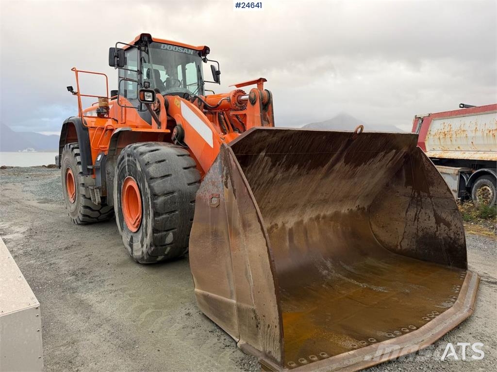 Doosan DL550-5 wheel loader with scale, bucket, and new t Hjullastere