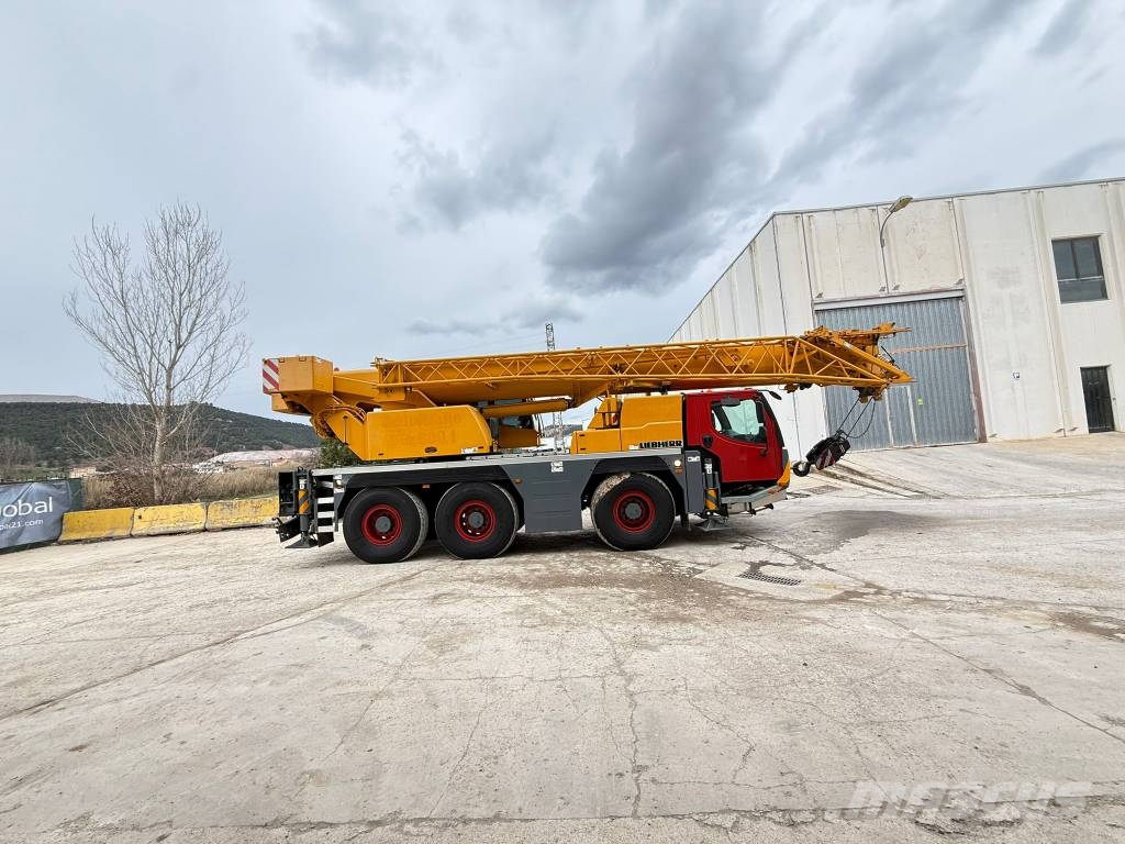 Liebherr LTM 1050-3.1 Guindastes para terrenos acidentados