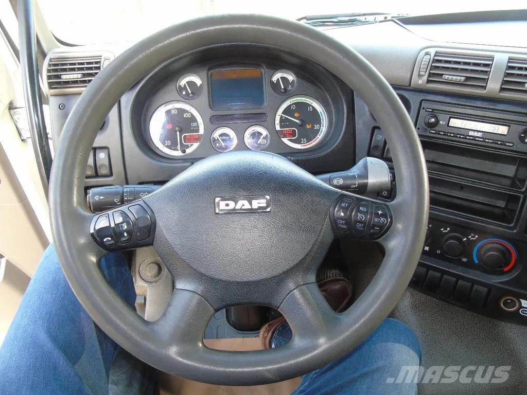 DAF CF 85.410 + 8X2 + PALFINGER 16002 +EURO 5 + REMOTE Grúas todo terreno