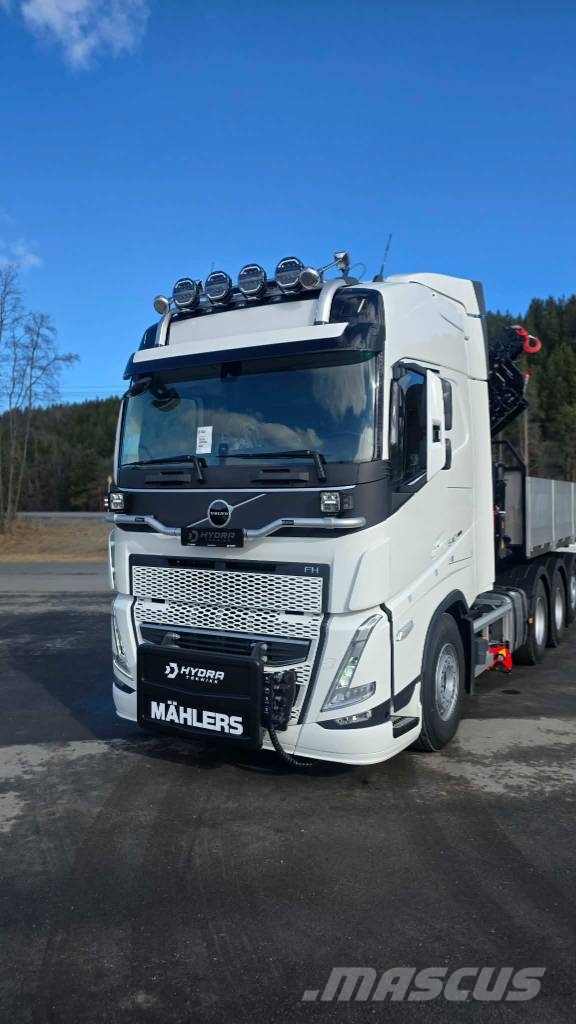 Volvo FH 540 工程吊钩车