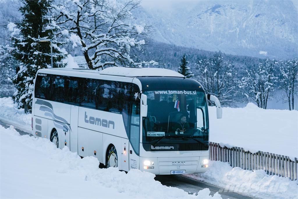 Veriga Lesce STARE RING BUS SNOW CHAIN Αλυσίδες/Ερπύστριες
