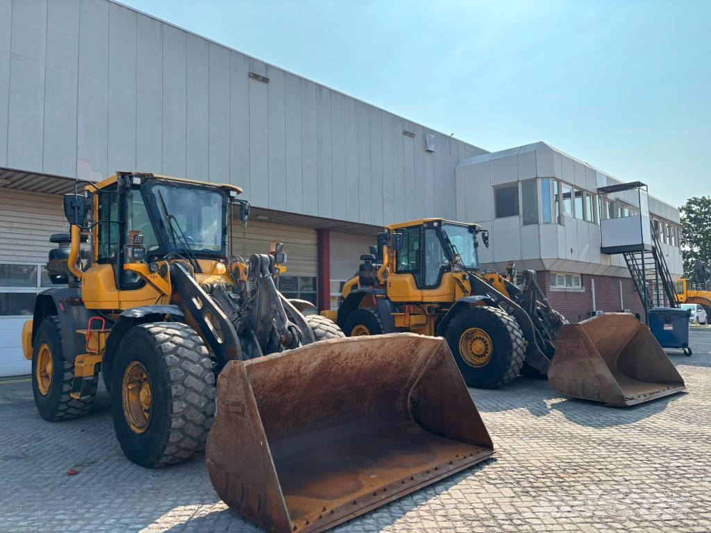 Volvo L 70 H Pale gommate