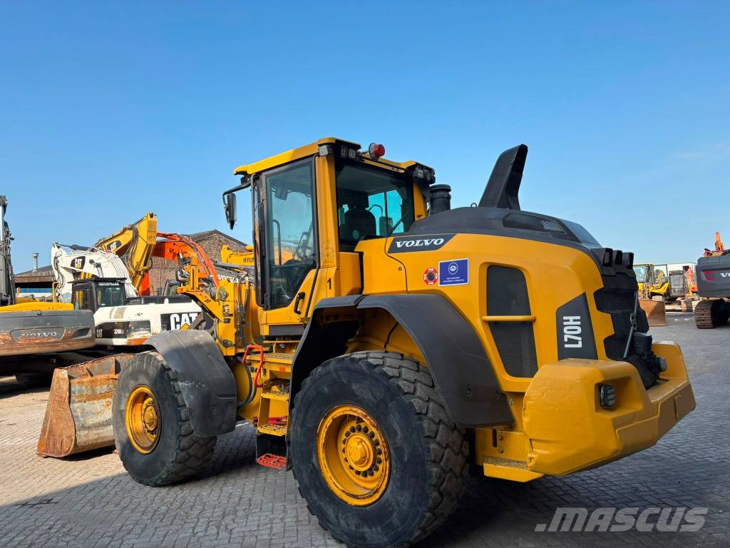 Volvo L 70 H Pale gommate