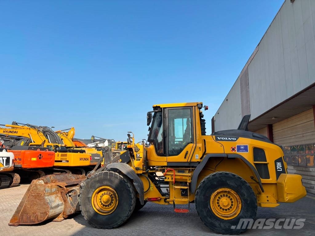 Volvo L 70 H Pale gommate