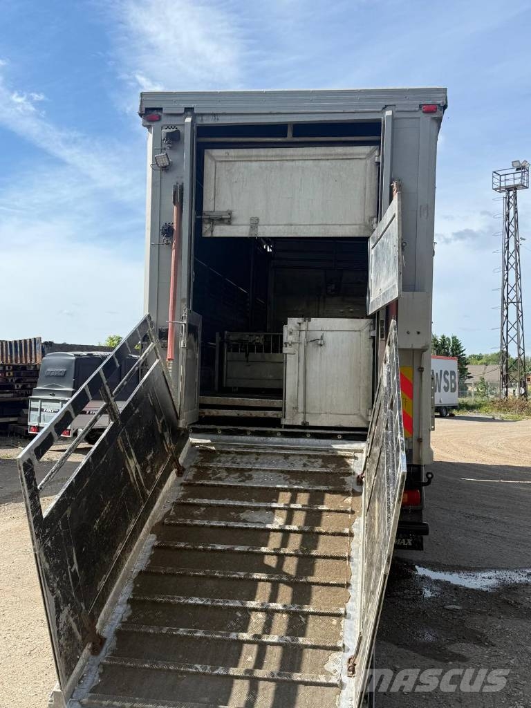 Volvo FM 480 Animal transport trucks