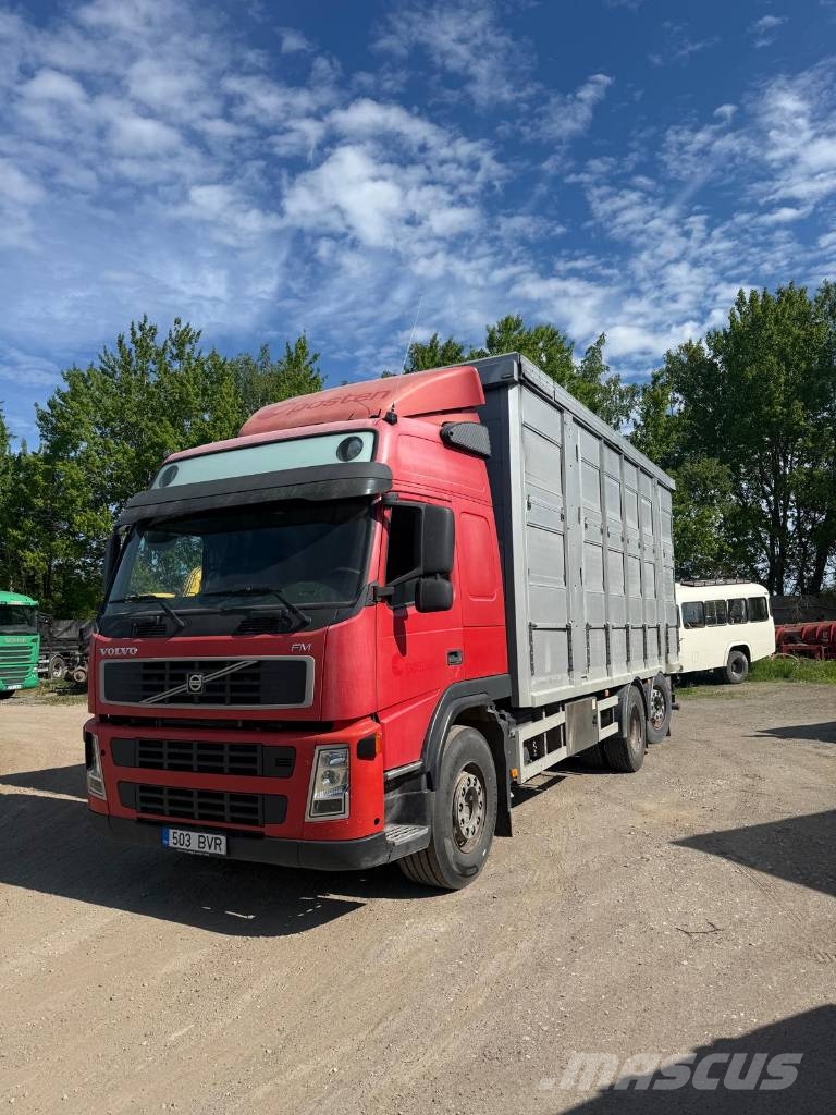 Volvo FM 480 Animal transport trucks