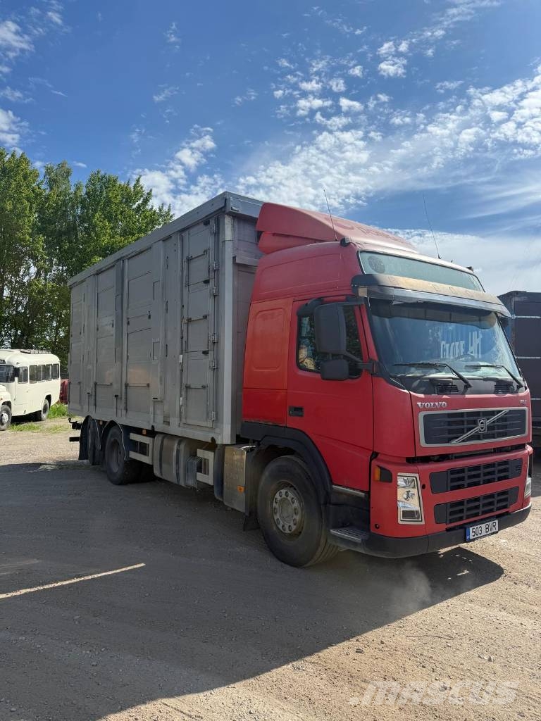 Volvo FM 480 Animal transport trucks