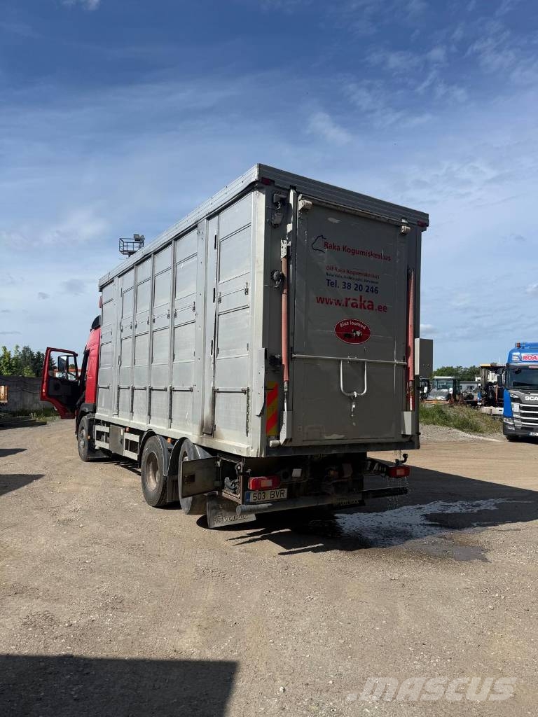 Volvo FM 480 Animal transport trucks