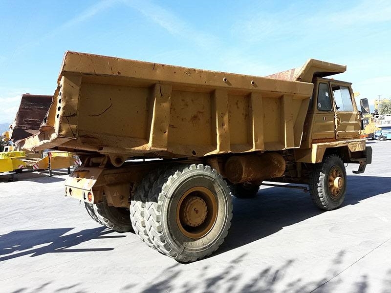 Perlini 25T 其他貨車