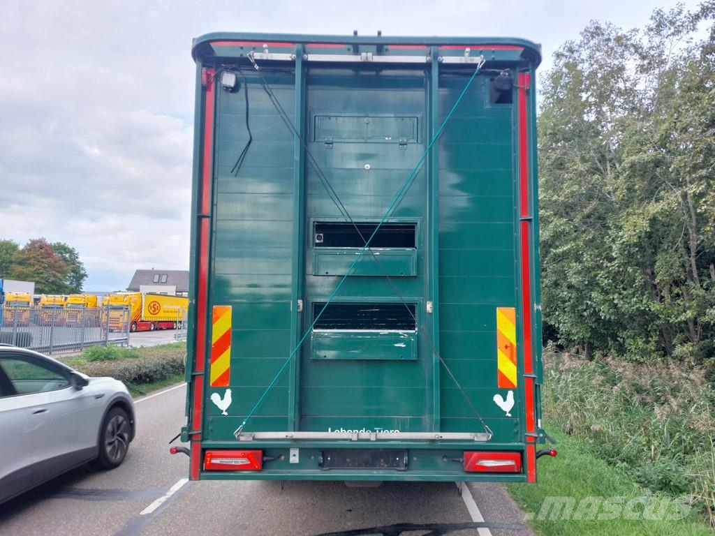 Scania Opbouw vervoer pluimvee / kippen / 2024 Transport Sonstige