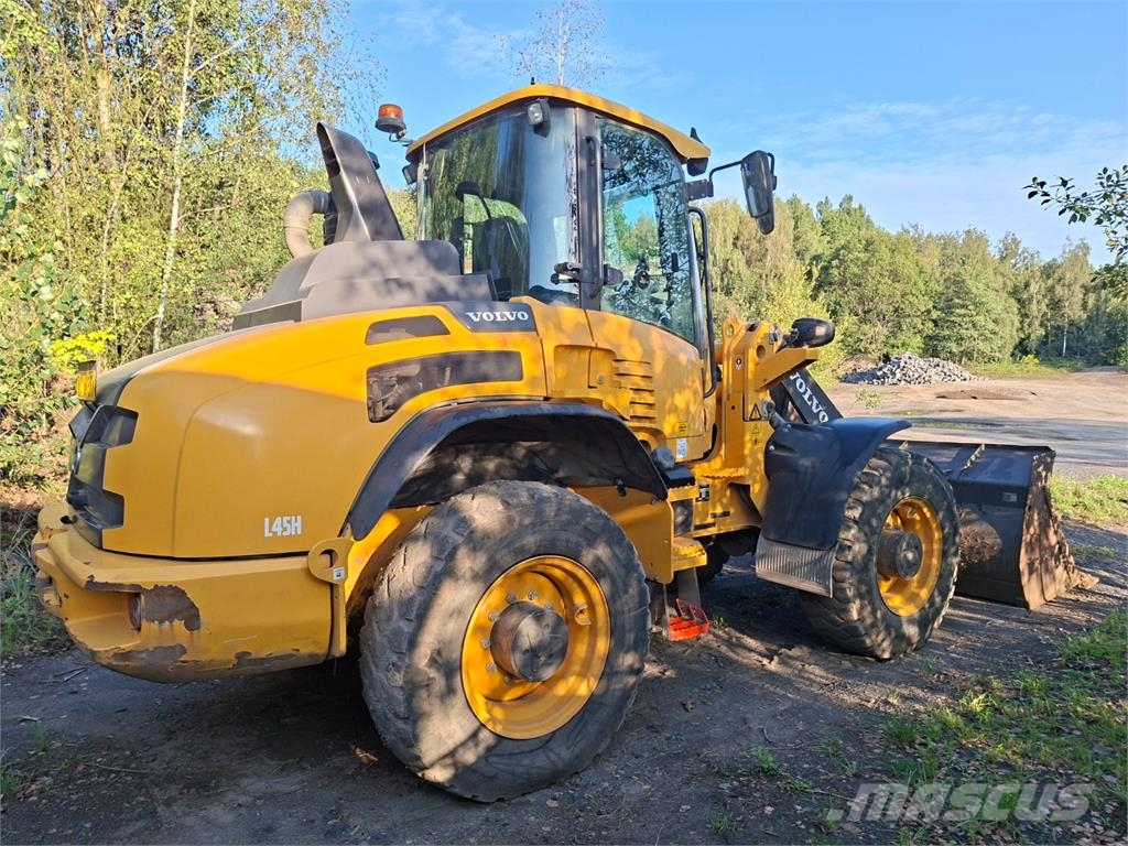 Volvo L45H 4X4 Andere Transporter