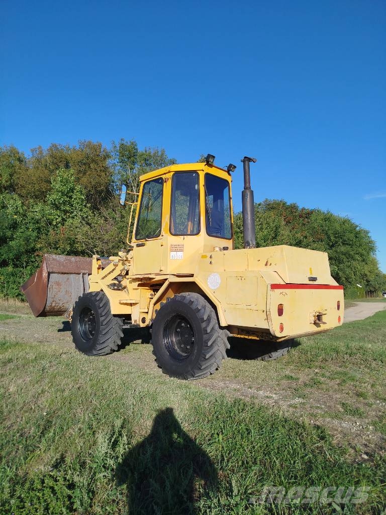 Zettelmeyer Zl801 Pale gommate