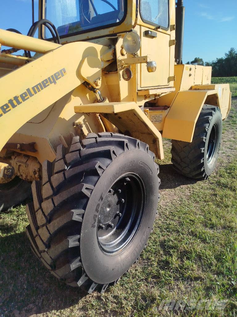 Zettelmeyer Zl801 Pale gommate