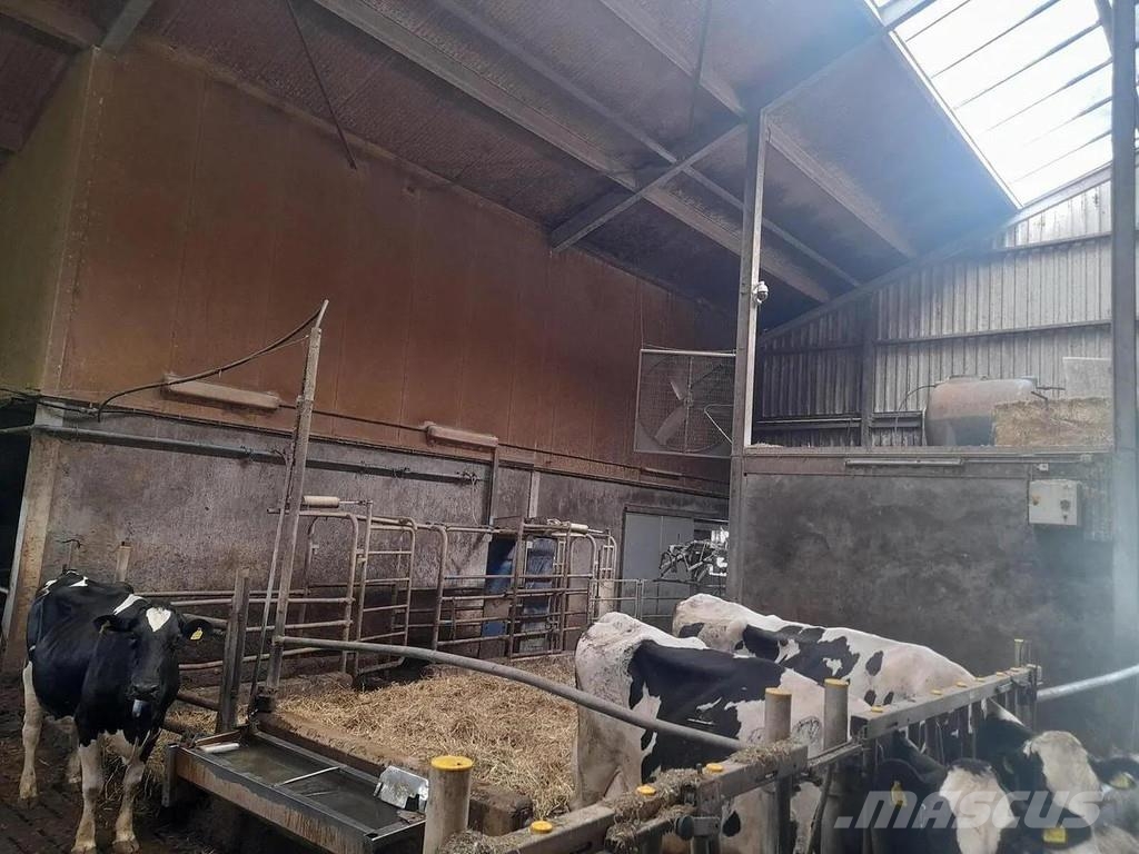  Complete barn including complete inventory for 120 ماكينات وملحقات مواش أخرى