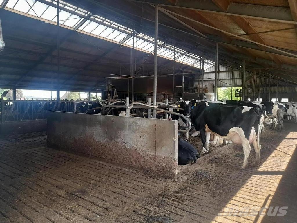  Complete barn including complete inventory for 120 ماكينات وملحقات مواش أخرى