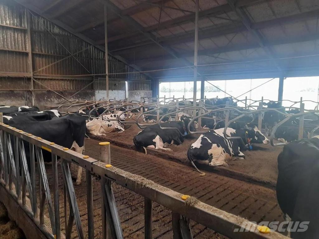  Complete barn including complete inventory for 120 ماكينات وملحقات مواش أخرى
