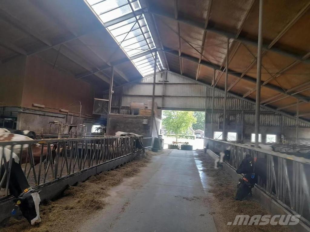  Complete barn including complete inventory for 120 ماكينات وملحقات مواش أخرى