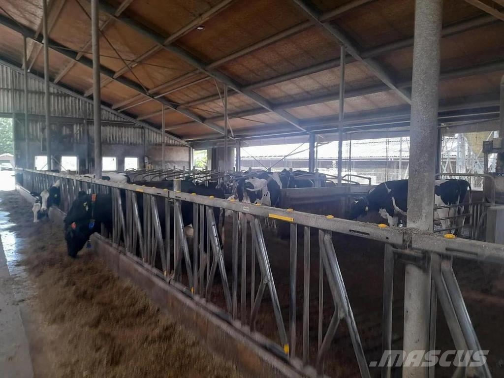  Complete barn including complete inventory for 120 ماكينات وملحقات مواش أخرى