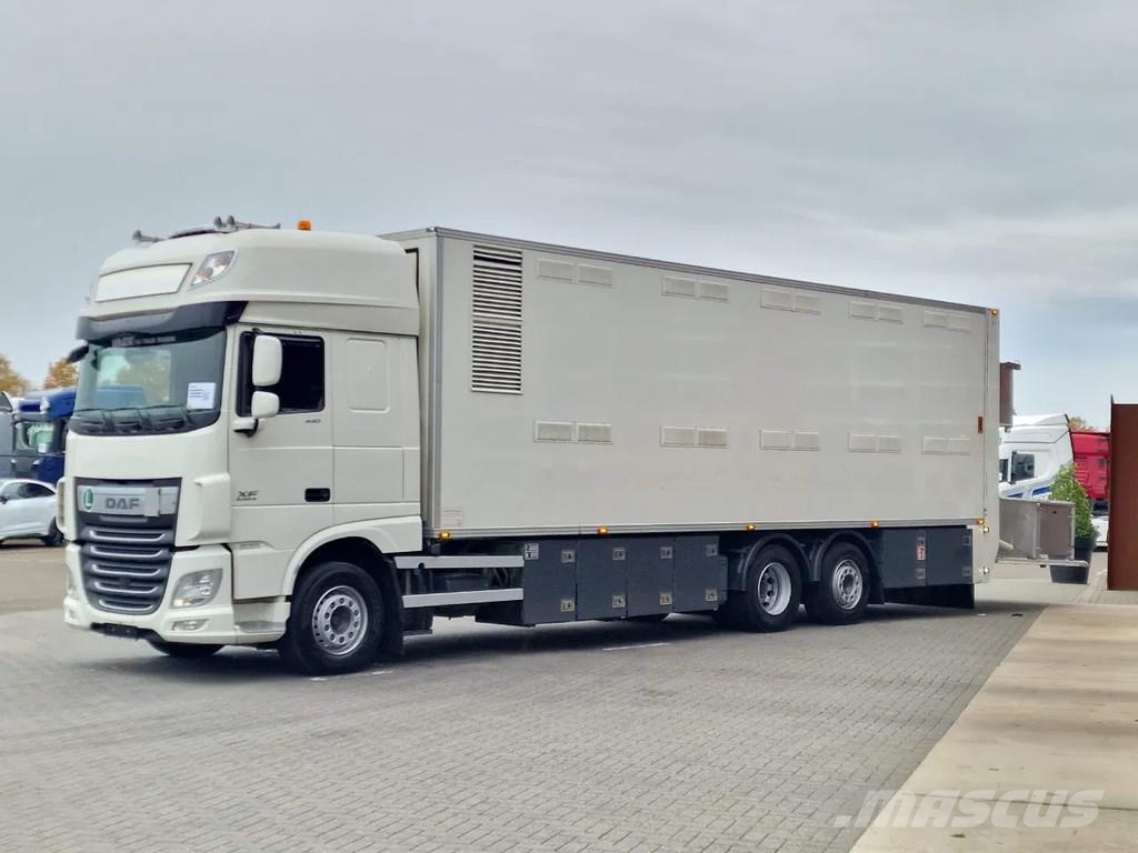 DAF XF 440 SuperSpaceCab 6x2*4 - 2 deck Closed Livesto Kamioni za transport stoke