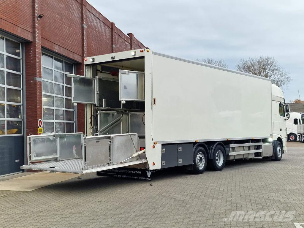 DAF XF 440 SuperSpaceCab 6x2*4 - 2 deck Closed Livesto Автотранспорт для перевезення тварин