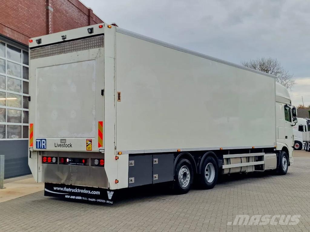 DAF XF 440 SuperSpaceCab 6x2*4 - 2 deck Closed Livesto Kamioni za transport stoke